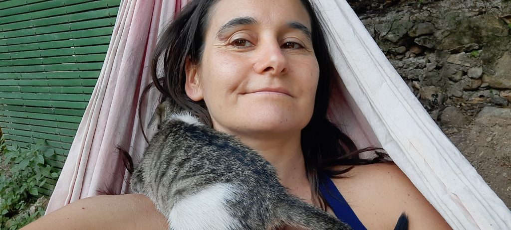 gatos ronroneo