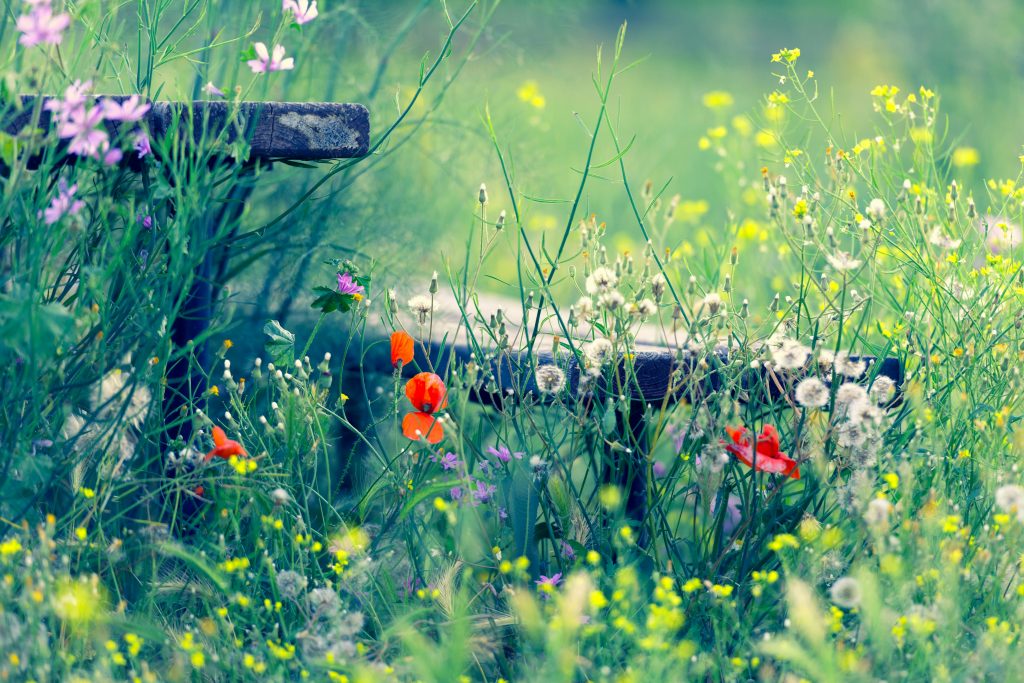 equinoccio de primavera