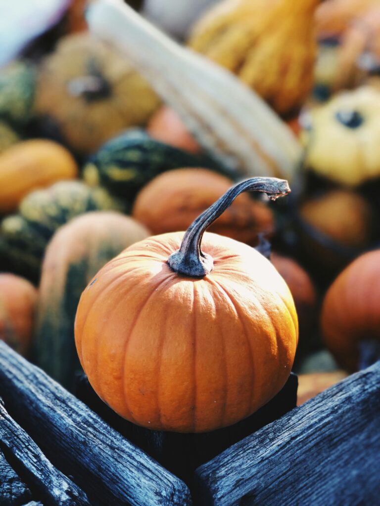 otoño